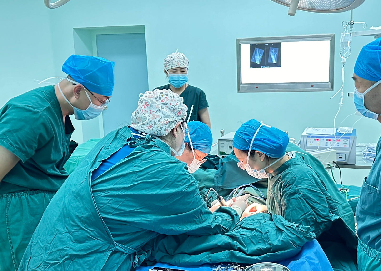 1733123978960739.jpg 1733123978960739.jpg