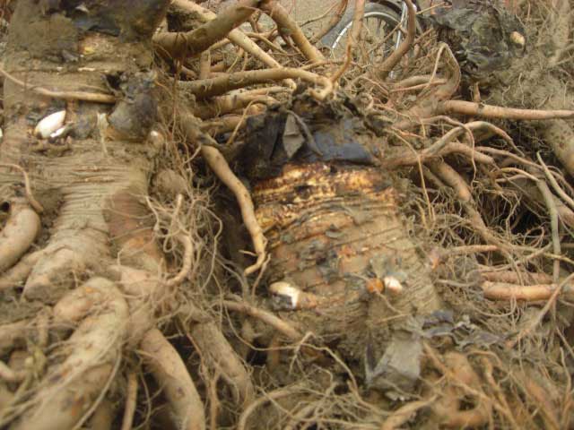 宕昌縣再次組織人員檢查“幸福工程”項目實施情況 3.jpg