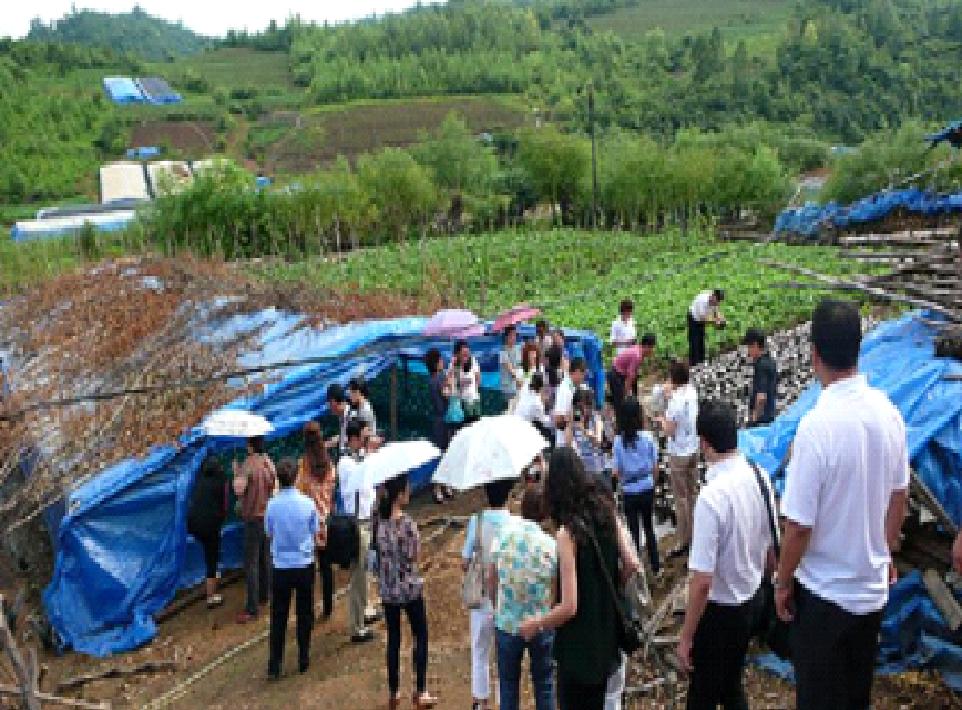 幸福工程全國組委會(huì)在吉林省撫松縣舉辦“幸福工程工作會(huì)議暨省級(jí)管理人員培訓(xùn)” 3.jpg