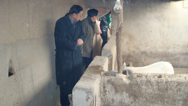 甘肅省計生協會專職副會長何堅明一行在宕昌考察“幸福工程”項目實施情況 2.jpg