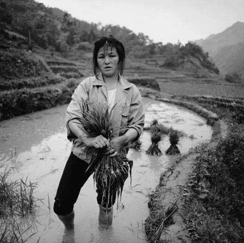 重慶市城口縣舉行捐贈儀式 昔日貧困母親覃純菊得到救助.png