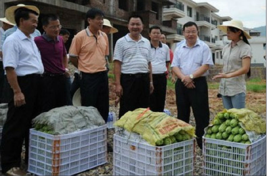 基太村 苦瓜甜了百姓生活2.jpg