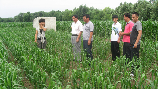 綠色鑲滿田——內蒙古科右中旗幸福工程項目回訪 1.jpg