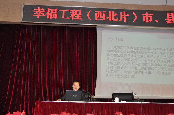 湖北發(fā)言代表