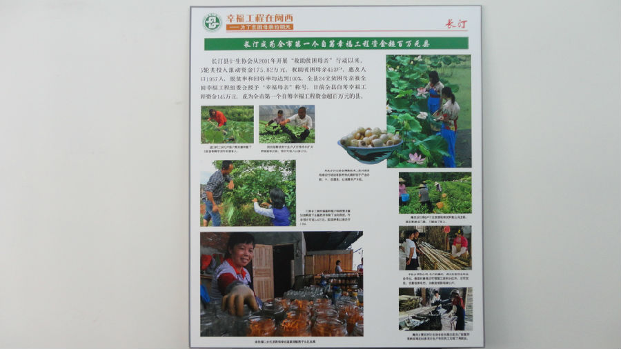 長(zhǎng)汀展板.JPG
