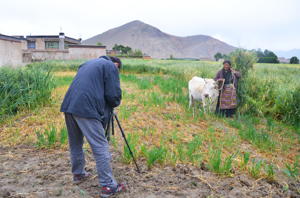a于全興拍攝受助母親確吉打草喂牛