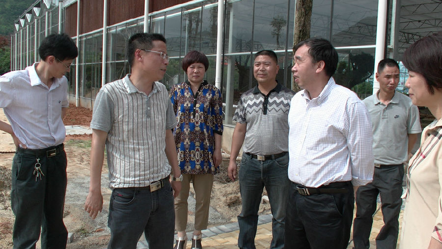 福建省計生協會秘書長鄭騰發實地查看九都鎮綠友霍童溪九都現代農業園