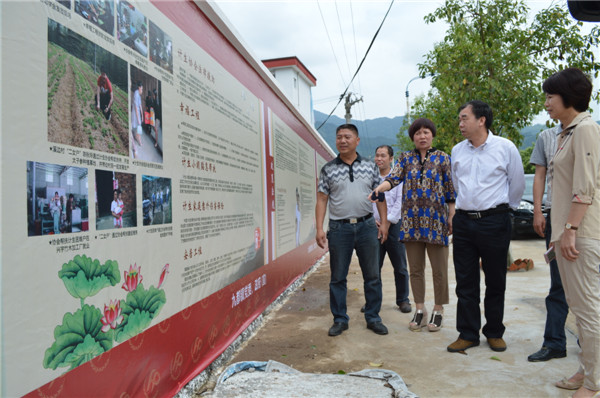 福建省計生協會秘書長鄭騰發參觀九都鎮百米計生文化墻