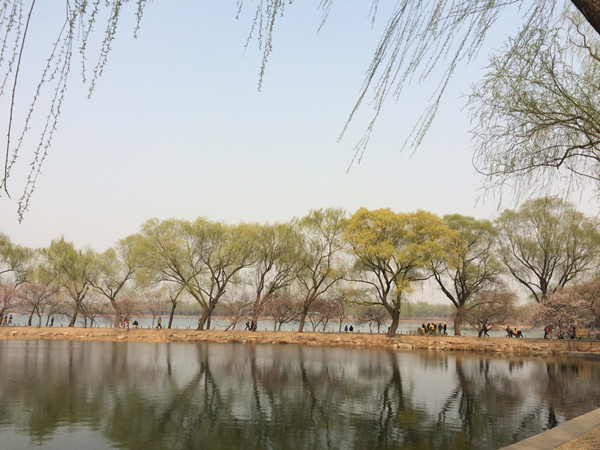 颐和园风景