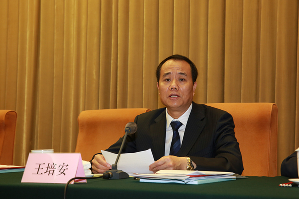 7王培安副主任讲话.jpg