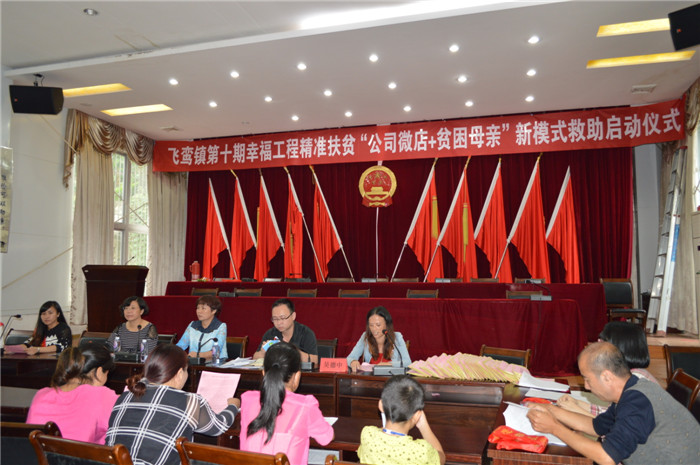 飞鸾镇新一轮幸福工程“公司微店+贫困母亲”新模式救助项目正式启动.jpg