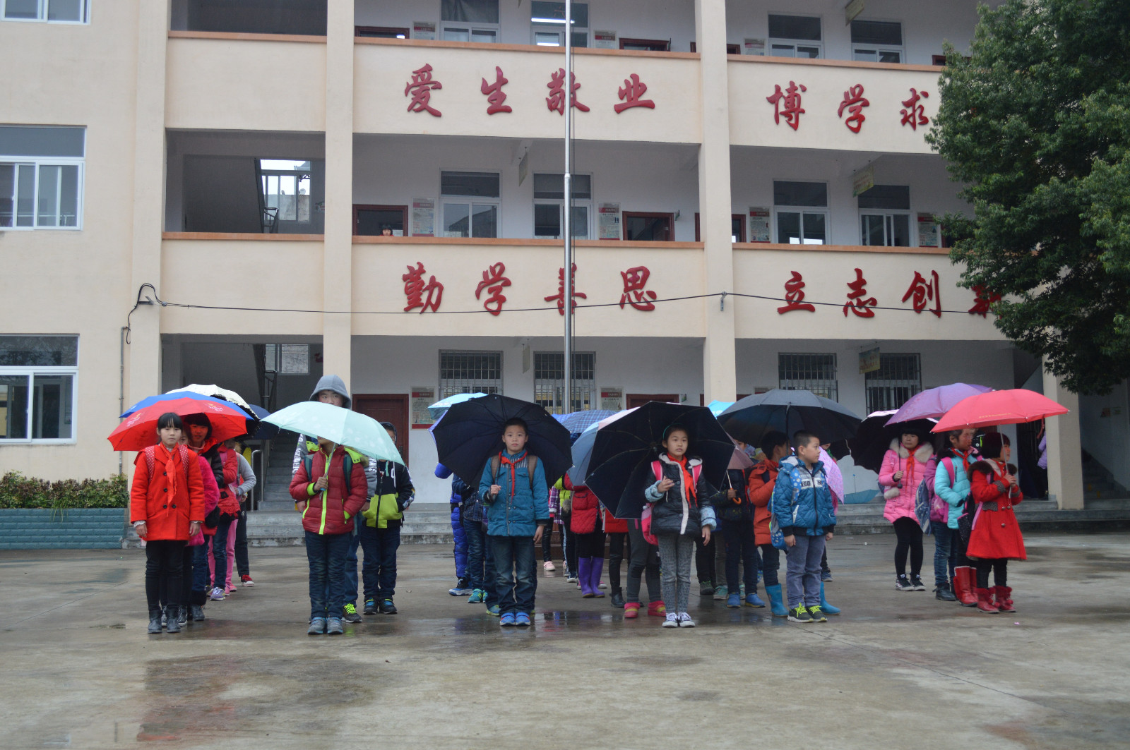 1456808611549300.jpg 1456808611549300.jpg