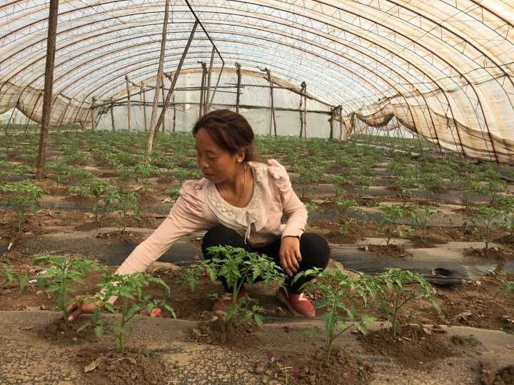 1463964082176731.jpg 1463964082176731.jpg