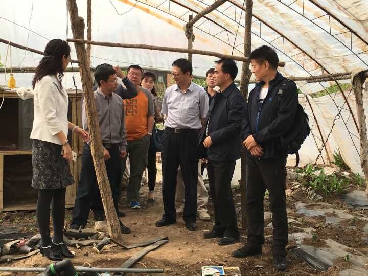 1463964083698405.jpg 1463964083698405.jpg