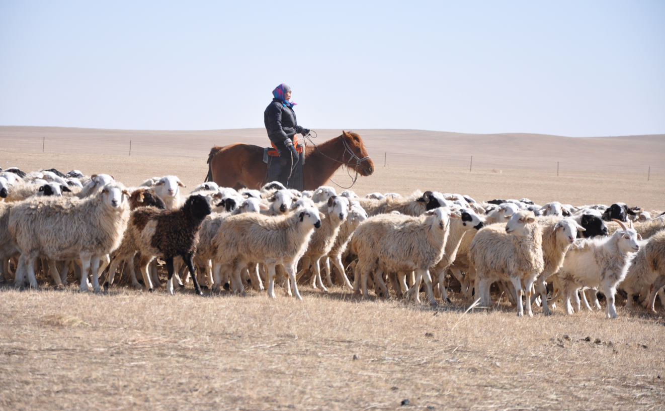 1466651194110441.png 1466651194110441.png