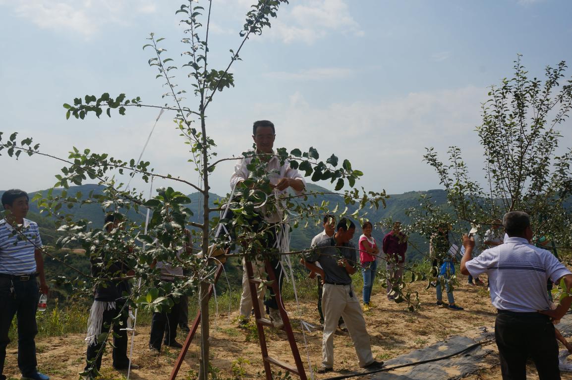 1471915353138459.jpg 1471915353138459.jpg