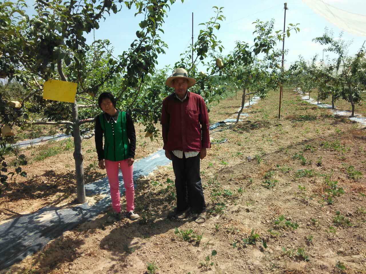 1471915583971485.jpg 1471915583971485.jpg