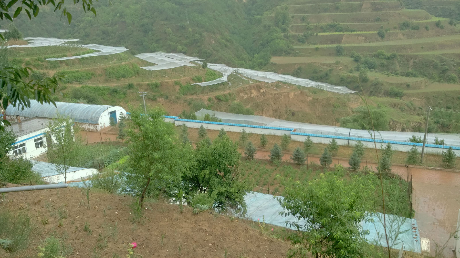 1471915616122106.jpg 1471915616122106.jpg