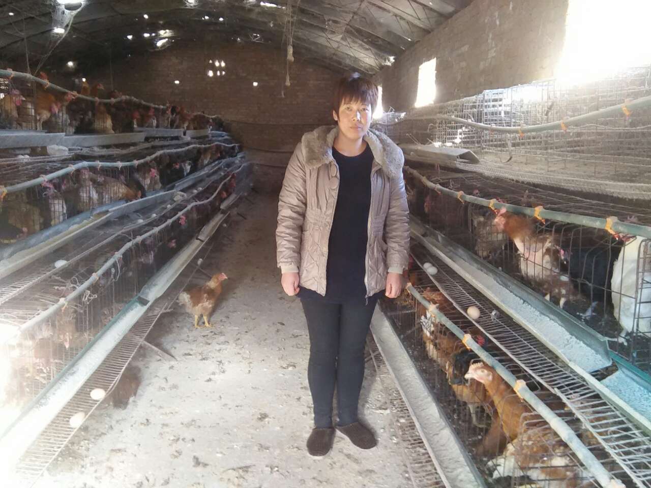 1471915690414223.jpg 1471915690414223.jpg