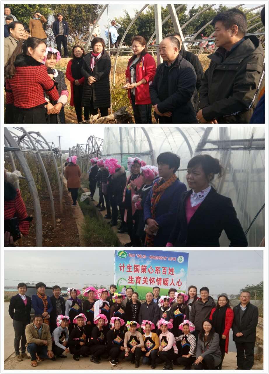 1480501314118208.jpg 1257637458.jpg