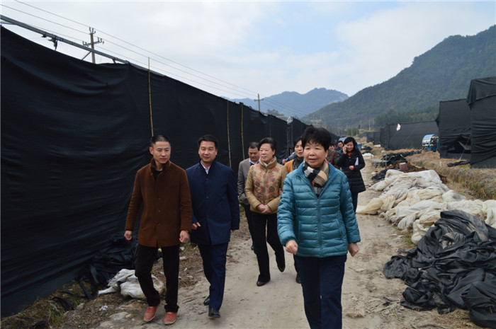 1483412519470896.jpg 1483412519470896.jpg