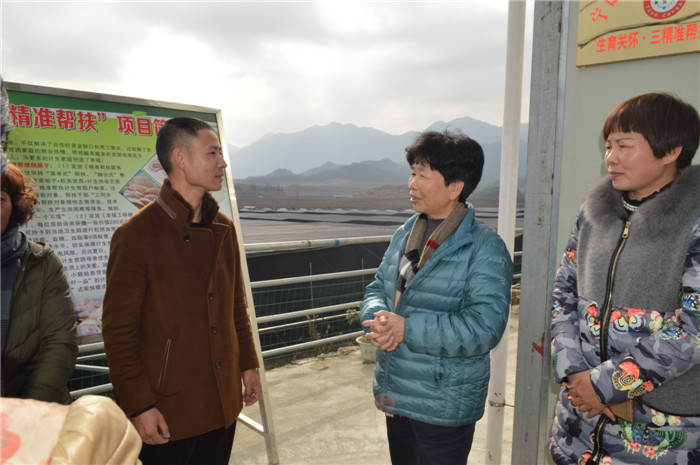 1483412519544395.jpg 1483412519544395.jpg