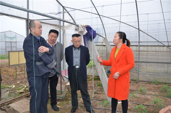 1489629976434448.jpg 1.jpg