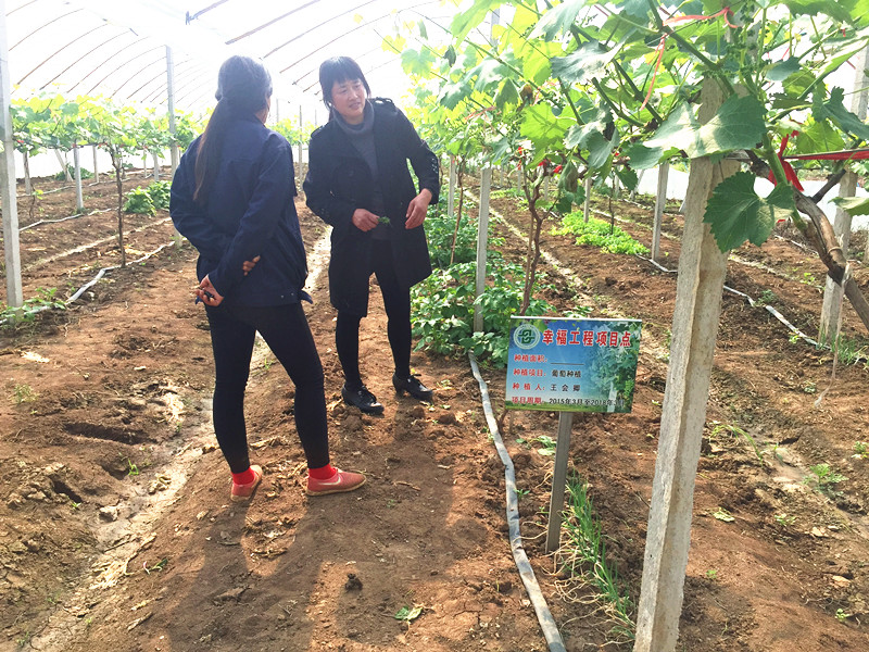 1492398588138123.jpg 新建文件夾 (3)IMG_1830.JPG