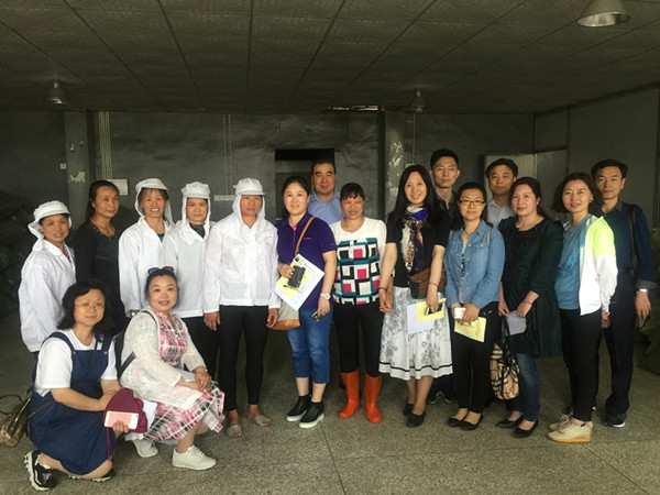 1493345526139052.jpg 269435711_副本.jpg