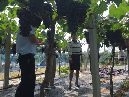 1495879017835462.jpg clip_image002.jpg