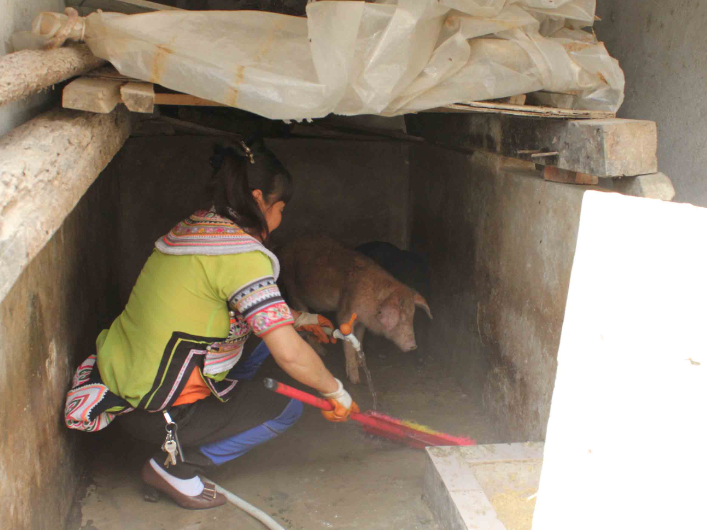 1496055406691778.png 2.png