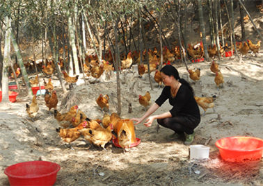 1501039319243000.jpg 1501039319243000.jpg