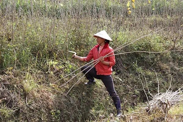 1501375758523696.jpg IMG_2577.JPG