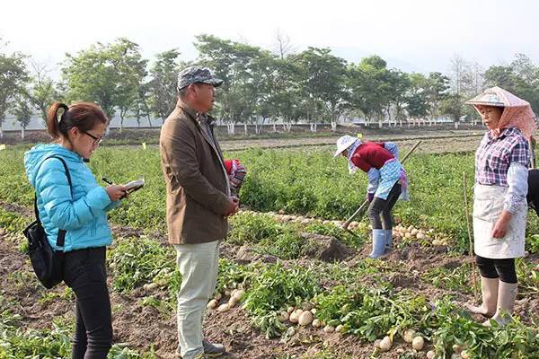 1501383104940889.jpg IMG_2590.JPG