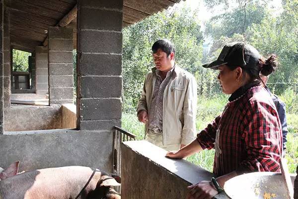 1501383161894587.jpg IMG_2591.JPG