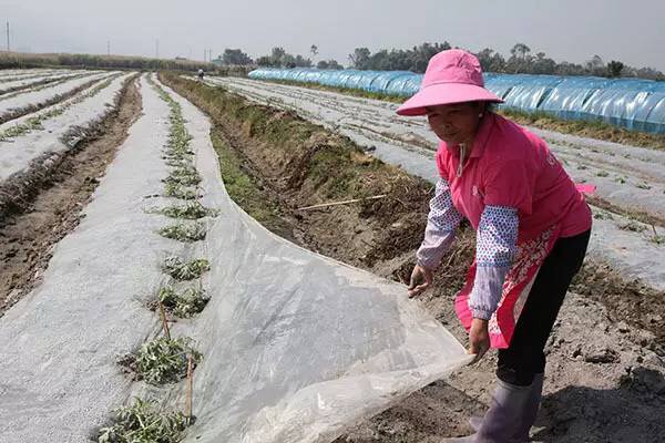 1501383172424723.jpg IMG_2592.JPG