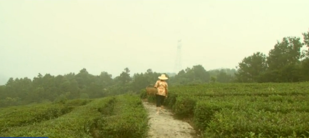 1501560177658558.png 2.png