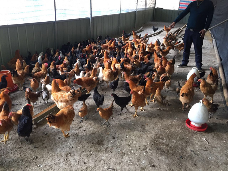 1502678116107045.jpg 1502678116107045.jpg