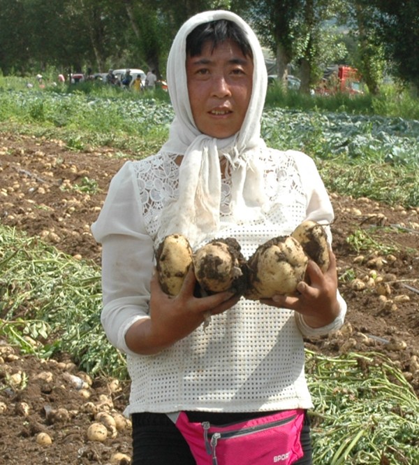 1504143072110712.jpg 豐收的喜悅洋溢在郭海英臉上_副本.jpg