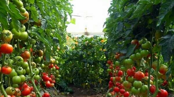 1504512501524987.jpg mmexport1502112635993_comps_副本.jpg