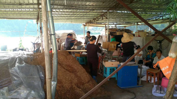 1504514392989257.bmp 4.1.bmp