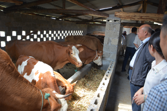 1505292966640226.png 1505292966640226.png