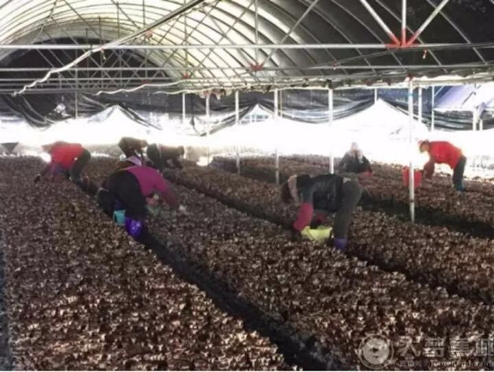 1508040502128006.jpg IMG_0202.JPG