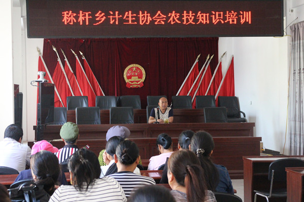 瀘水市稱桿鄉(xiāng)計生協(xié)會農(nóng)技培訓(xùn)培訓(xùn)_副本.jpg