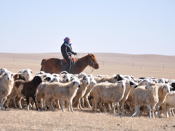 1512027432388103.jpg 2017-11-24-d7eac6eb-5da0-bd21-89ed-3b2c578ff8e7_副本.jpg