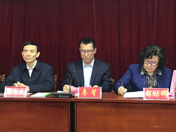 1513903139524772.jpg 廖智副總裁發(fā)言_副本.jpg