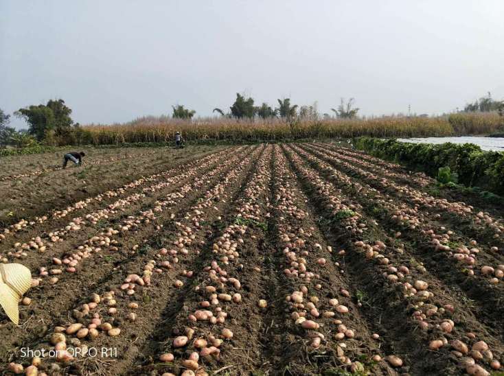 1518422290472704.png 2.png