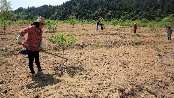 1523326802194073.png QQ截圖20180410101722.png