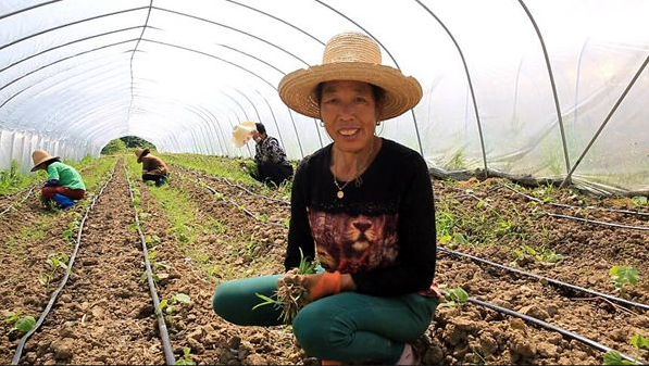 1523326833356561.png QQ截圖20180410101733.png