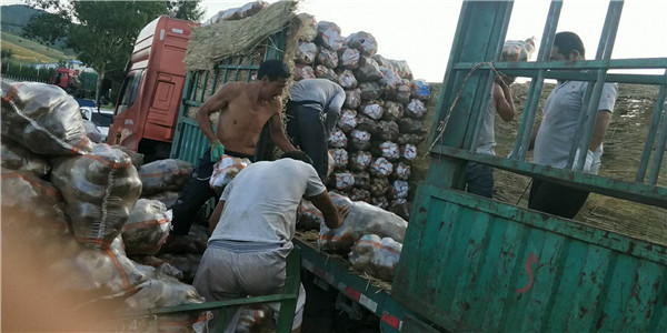 1535113662392923.jpg 微信圖片_20180813081103_副本.jpg